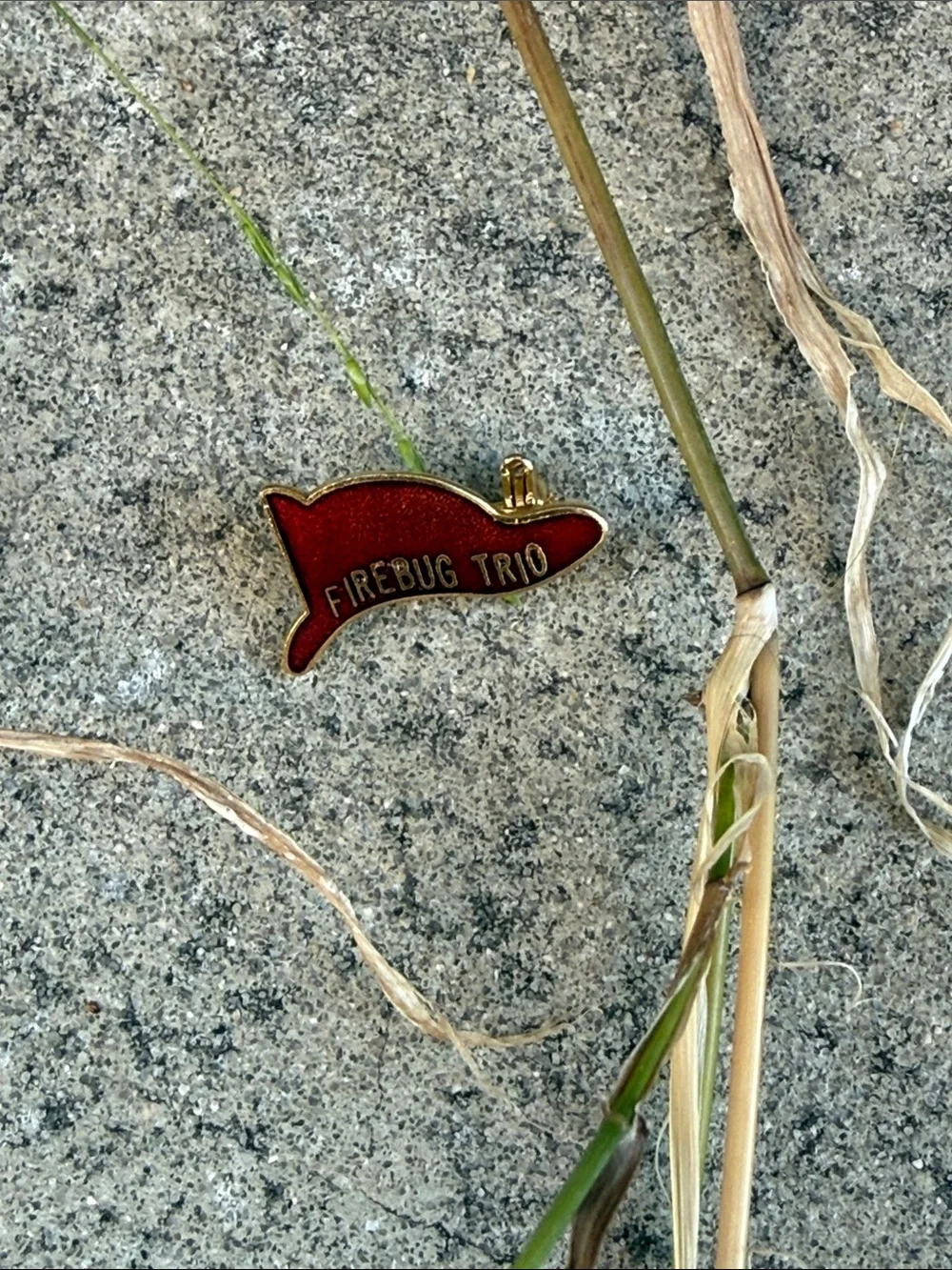 Vintage Red FIREBUG TRIO Enamel Pin